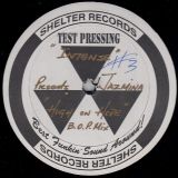Intense Presents Jazmina – High On Hope – Shelter DJ 12″