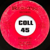 The San Remo Golden Strings – I’m Satisfied b/w Blueberry Hill – Ric Tic 7″
