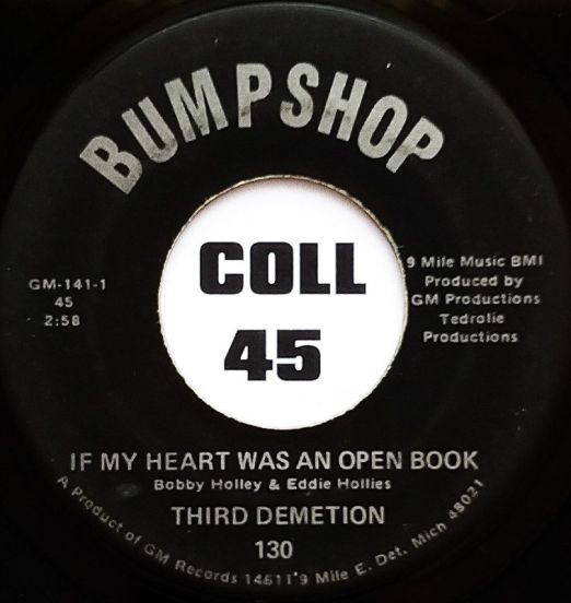 Third Demetion - If My Heart Was An Open Book b/w Important Thing's - Bump Shop 7"