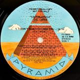 D.C. LaRue – Ca-The-Drals – Pyramid Promo LP