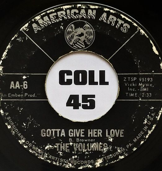 The Volumes - Gotta Give Her Love b/w I Can't Live Without You - American Arts 7"