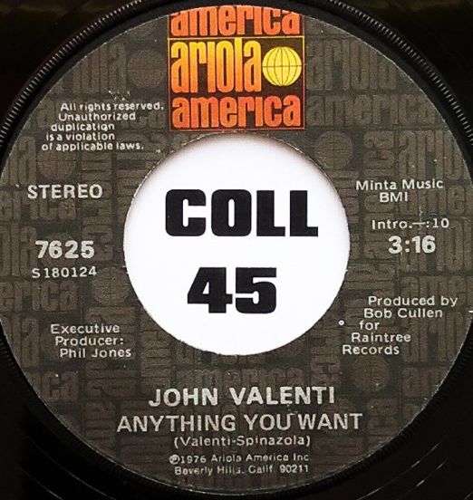 John Valenti - Anything You Want b/w That's The Way Life Goes - Ariola America 7"