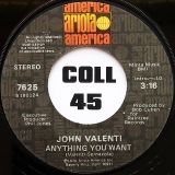 John Valenti – Anything You Want b/w That’s The Way Life Goes – Ariola America 7″