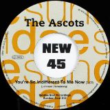 Oscar Perry – Let Me Grow Old With You b/w The Ascots – You’re So Indifferent To Me Now – Sundae Soul 7″