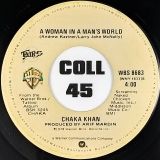 Chaka Khan – I’m Every Woman b/w A Woman In A Man’s World – Warner Bros. 7″