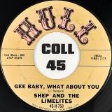 Shep And The Limelites – Everything Is Going To Be Alright b/w Gee Baby, What About You – Hull 7″