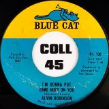 Alvin Robinson – I’m Gonna Put Some Hurt On You b/w How Can I Get Over You – Blue Cat 7″