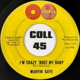 Marvin Gaye – Can I Get A Witness b/w I’m Crazy ‘Bout My Baby – Tamla 7″