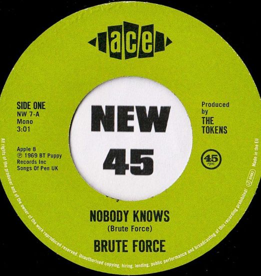 Brute Force - Noboday Knows b/w King of Fuh - Ace 45th Anniversary 7"