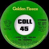 The Trammps – I Know That Feeling b/w Love Epidemic – Golden Fleece 7″
