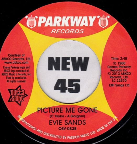 EvieSands-PictureMeGoneB