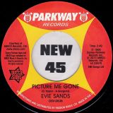 Janie Grant – My Heart, Your Heart b/w Evie Sand – Picture Me Gone – Outta Sight UK 7″