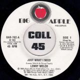 Lenny Welch – Just What I Need b/w Don’t Start (Something You Can’t Finish) – Big Apple 7″