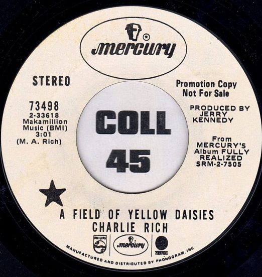 CharlieRich-FieldOfYellowDaisies-B
