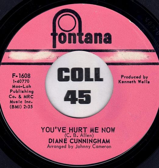 DianeCunningham-You'veHurtMeNow