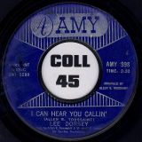 Lee Dorsey – Go-Go Girl b/w I Can Hear You Callin’ – Amy 7″