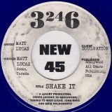 Matt Lucas – Shake It (Single Sided) – 3246 UK 7″