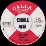 The Fuzz – I’m So Glad b/w All About Love – Calla 7″