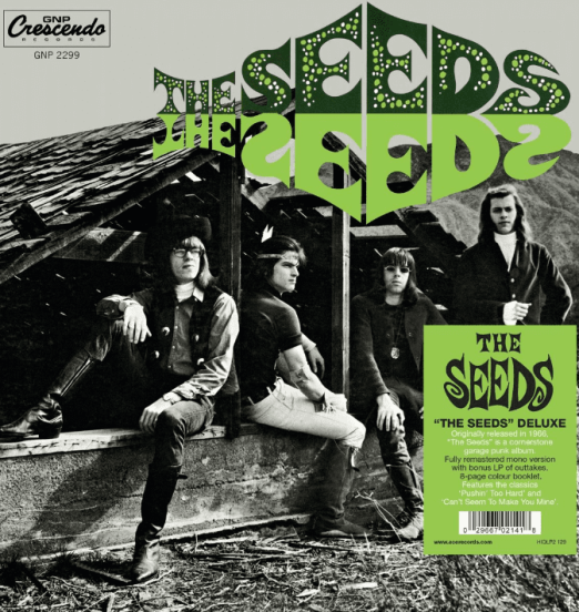 The Seeds - The Seeds (DELUXE) - Big Beat UK 2LP