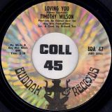 Timothy Wilson – Loving You b/w Pigtails – Buddah 7″
