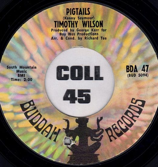 TimothyWilson-Pigtails