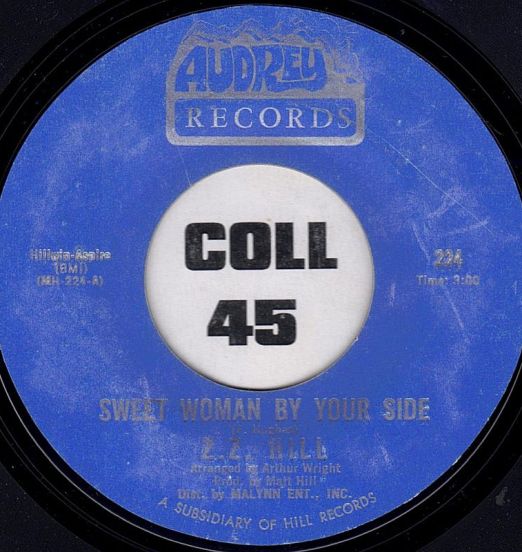 ZZHill-SweetWomanByYourSide