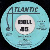 AWB – She’s A Dream (Stereo) b/w Mono – Atlantic DJ 7″