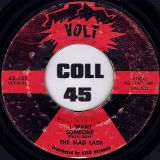 The Mad Lads – I Want Someone b/w Nothing Can Break Through – Volt 7″