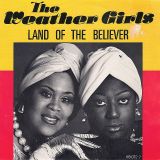 The Weather Girls – The Land Of The Believer b/w The Land Of … (F.F. Believe In Beats Mix) – CBS NL 7″