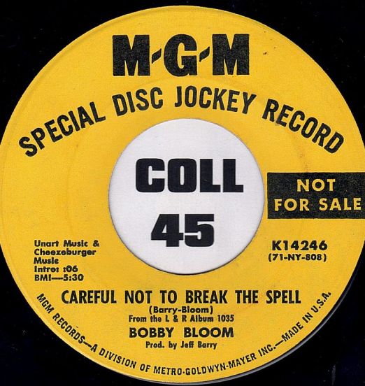 BobbyBloom-CarefulNotToBreaktheSpell