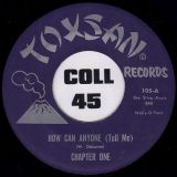 Chapter One – How Can Anyone (Tell Me) b/w Thinking About The Days – Toxsan 7″