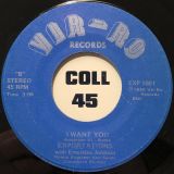 Exportations – I Want You b/w Find Another Day – Vir-ro 7″