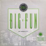 Inner City – Big Fun – 10 Records 12″