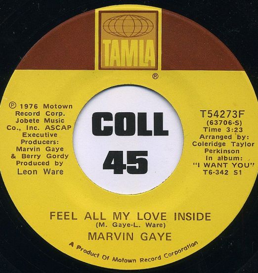 MarvinGaye-FeelAllMyLoveInside