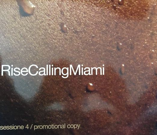 Various - Rise Calling Miami Sessione 4 - Rise DJ 2x12"