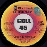 The Pointer Sisters – Love In Them There Hills b/w Fairytale – ABC Blue Thumb Mono 7″