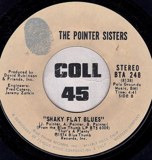 ThePointerSisters-SHakyFlatBlues