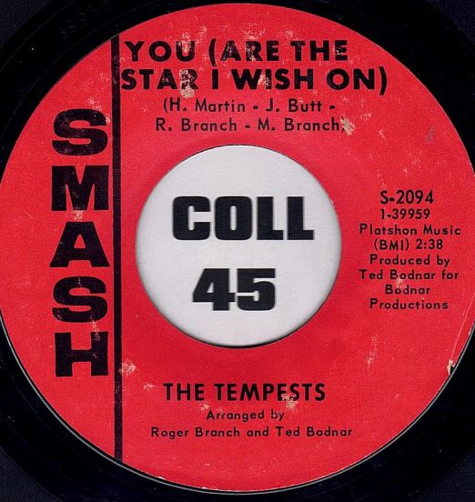 TheTempests-YouAreTheStarIWishOn