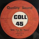 Anna Raye – Will You Love My Child b/w Will You Be There – Quality Sound 7″