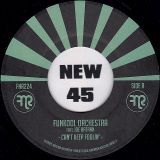 Funkool Orchestra – Can’t Keep Foolin’ b/w Little Black Woman – FNR 7″