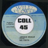 Big Youth – Johnnie Reggae b/w (Version) – Wild Flower  7″