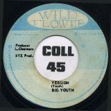 Big Youth – Johnnie Reggae b/w (Version) – Wild Flower  7″