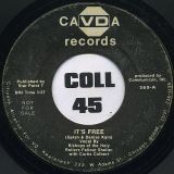Bishops Of The Holy Rollers Fallout Shelter – It’s Free b/w Johnnie Taylor – Something To Remember Her By – Cavda DJ 7″