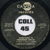 Bishops Of The Holy Rollers Fallout Shelter – It’s Free b/w Johnnie Taylor – Something To Remember Her By – Cavda DJ 7″