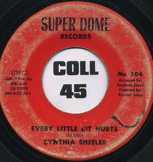 CynthiaSheeler-EveryLittleBitHurts