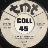 Shep – Fool To Fool b/w I’m Sitting In – T.N.T. DJ 7″