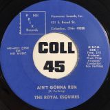 The Royal Esquires – Ain’t Gonna Run b/w Our Love Use To Be (On The Sunnyside Up) – Prix 7″