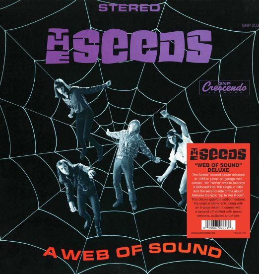 *PREORDER* The Seeds - A Web Of Sound (DELUXE) - Big Beat UK 2LP