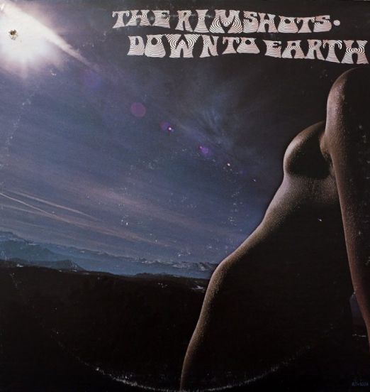 The Rimshots - Down To Earth - Stang LP