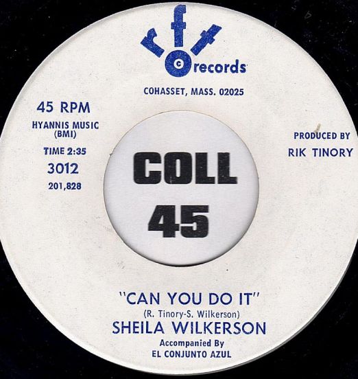 SheilaWilkerson-CanYouDoIt